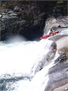 Tellico 24